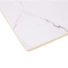 5023 Sovereign White Stone Wall Panel
